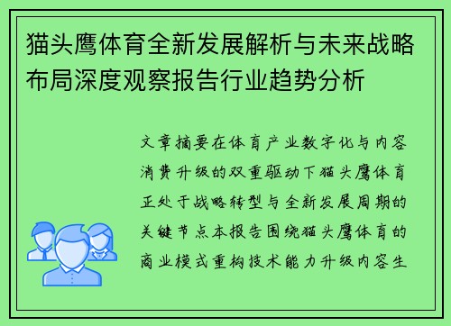 猫头鹰体育全新发展解析与未来战略布局深度观察报告行业趋势分析