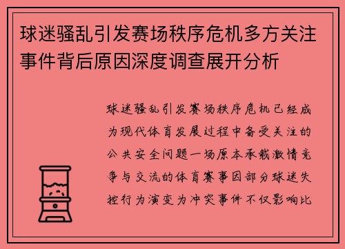 球迷骚乱引发赛场秩序危机多方关注事件背后原因深度调查展开分析 球迷骚乱引发赛场秩序危机多方关注事件背后原因深度调查展开分析